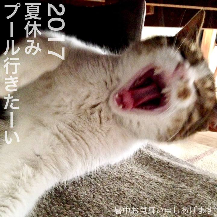 16f508a7 877b 4feb 9940 96b5f5f1391d