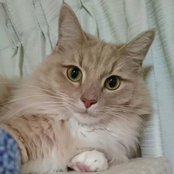 16f54bc2 3c4d 44a1 b31f f669f9e2afb6