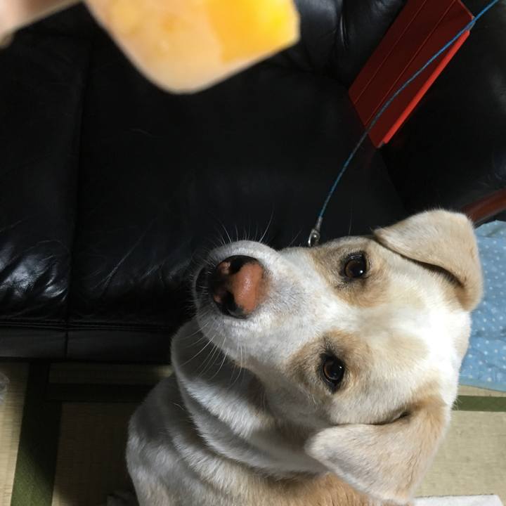 16f584a6 200b 4389 a45f 069e60c31e3f