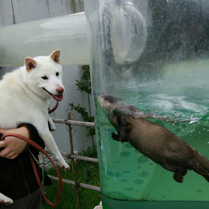 16f606e4 5f83 419c 94e9 eb19a4fd6252