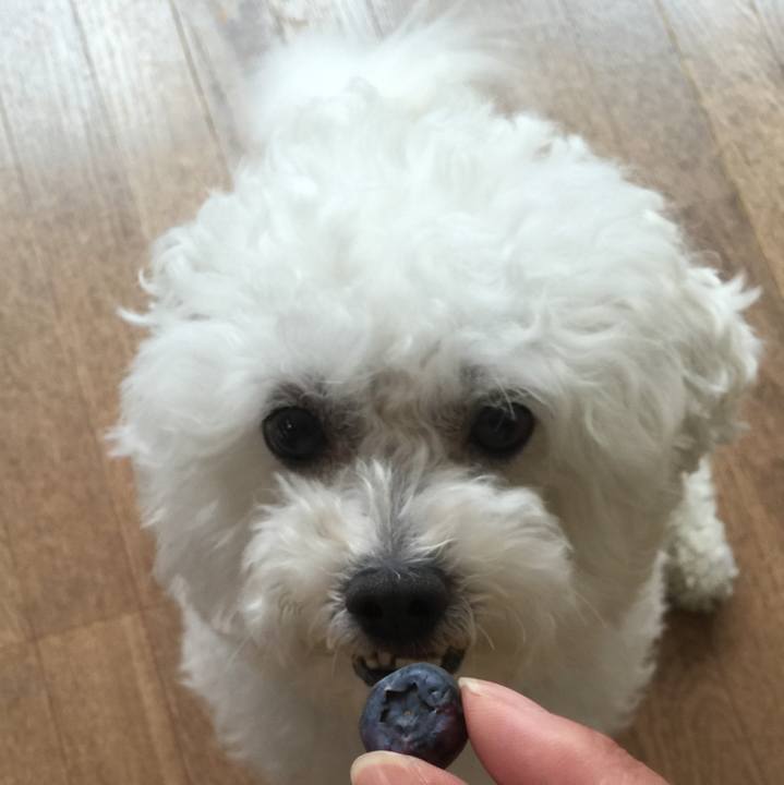 16f7aaa4 ebe9 488d ae68 eb91a04fd73c