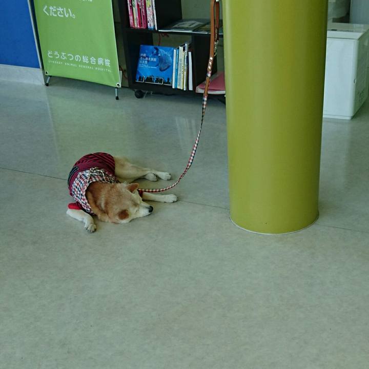 16f8142b 0a76 48d4 8317 8b7f4cd53357