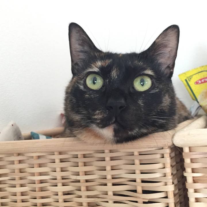 16f865ac 4bd8 4597 855a 4dda8b4f163d