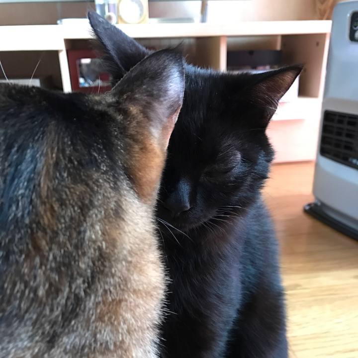 16f89df4 2342 4000 b0ca 3ad13685486b