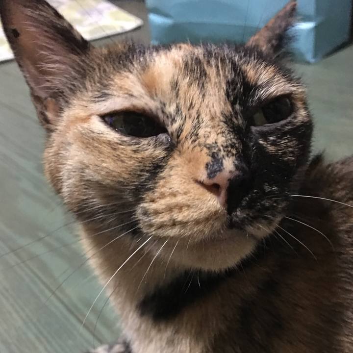 16f8b2ba e5e1 4f8c aee5 ae1079d3e314