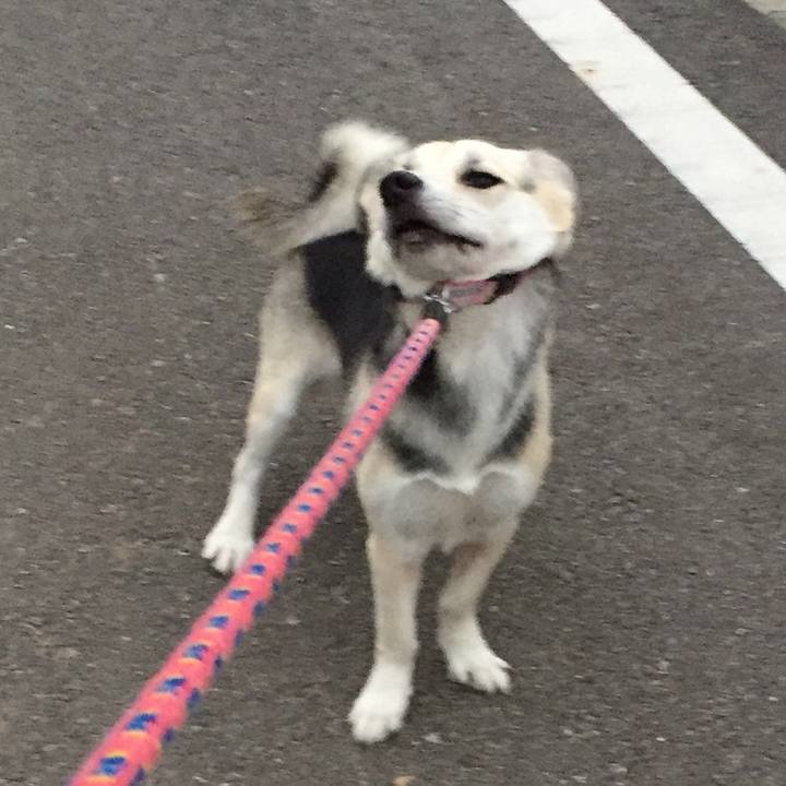 16f8c858 4b1d 4fc9 a7c8 51d9ada21f89