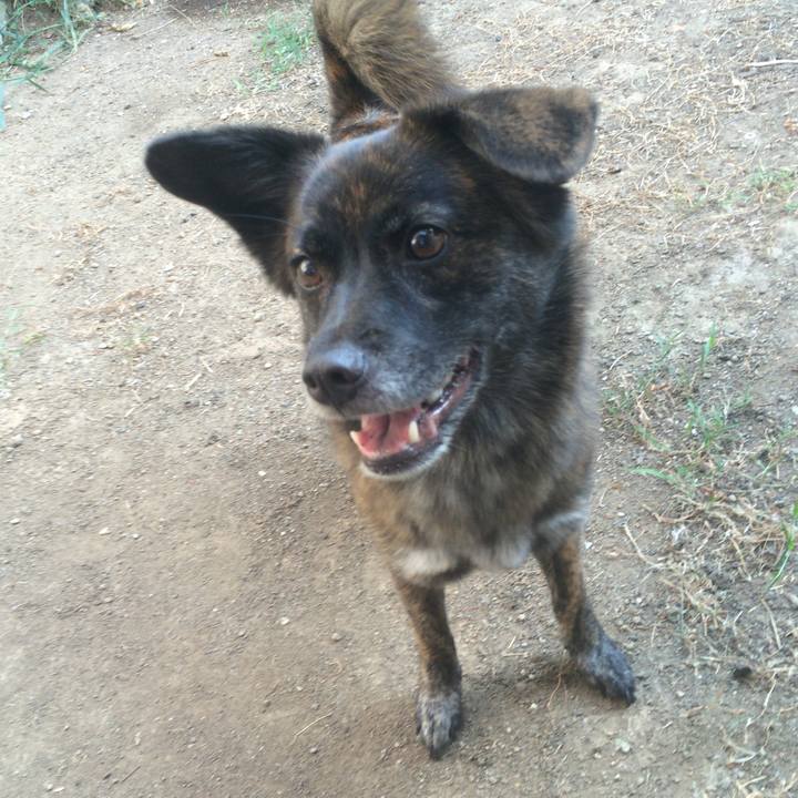 16f92f58 f17d 4283 8e3d 3d7c389130aa