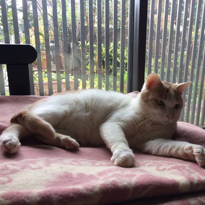 16f9438f 86ff 49a9 ad3a 1ba07d47020e