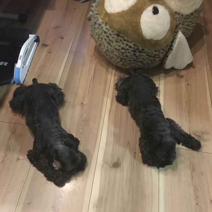 16f991b5 deac 4134 ba0a 1341c1424cac