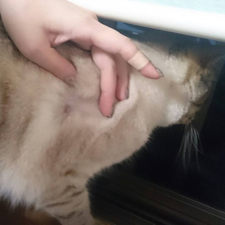 16fa6735 9f07 4fac 9769 80161bb1540b