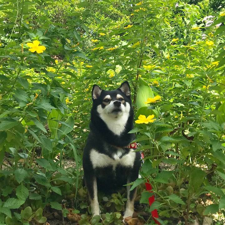 16fade82 0089 48ed 9a45 8f813fce9176