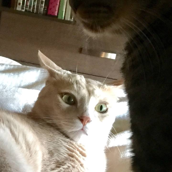 16fb17e3 e621 4fe9 bbb5 061be05487fa