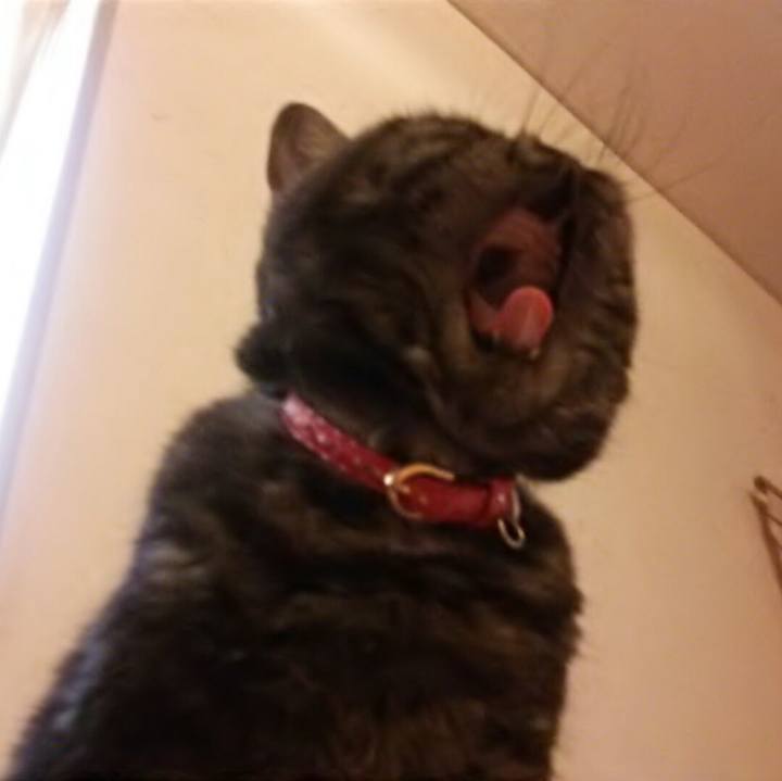 16fb858f 9ccf 409c 86ae ee51e7304b8e