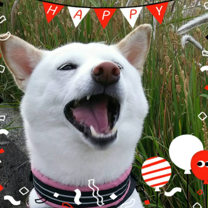 16fc3890 103a 4aa0 88fd 857824d2b17d