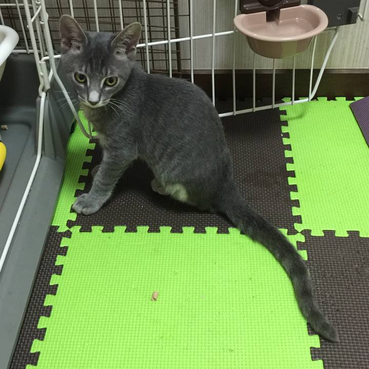 16fc41c1 18ef 4f11 84ec d3481d4f8e06