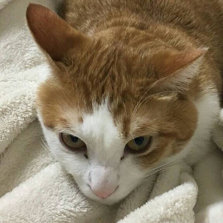 16fca2b1 f165 4dbd 8e11 0dbb5b03f092