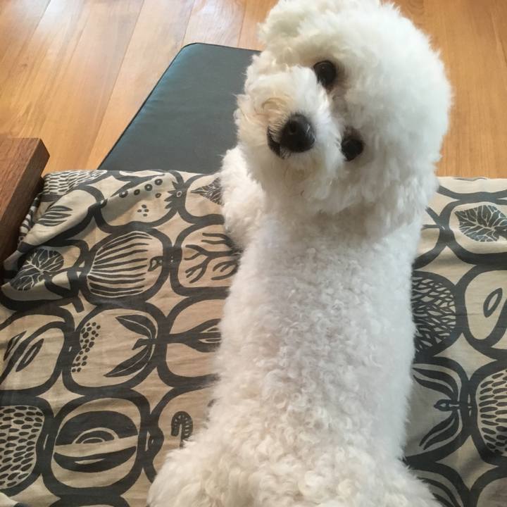 16fcf983 6d91 4a85 8b2a dce6aa0cc217