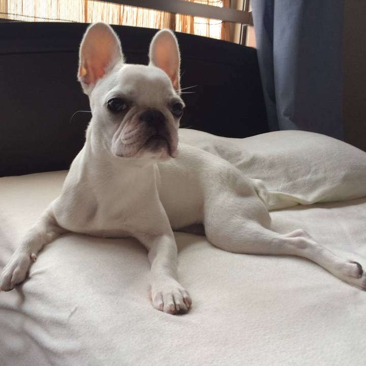 16fd0791 4f5a 49a7 8954 a428164a5caf