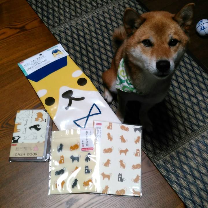 16fd5224 cd85 4e1a b58c 7f1ea33281e9