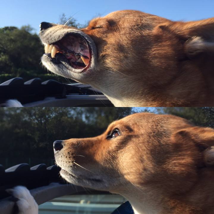 16fdbd97 ca2c 490c 8b4b 82bd54ecbe39