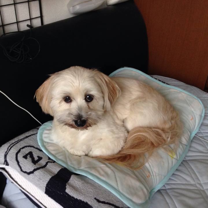 16fdd118 ff57 4a29 bddd c425b206f3d2