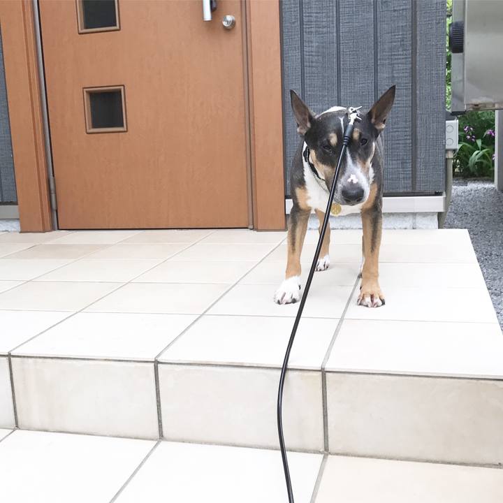 16fdf3e5 e4df 478a 8343 a1019291a409