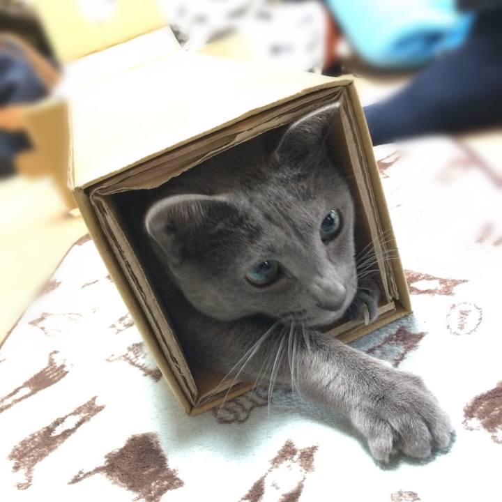 16fe8f04 0d50 4883 8f39 95ca1c5f0547