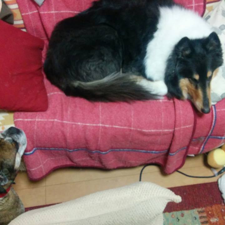 16feda7d 1a55 4122 ade9 f0e2c30cb5d4