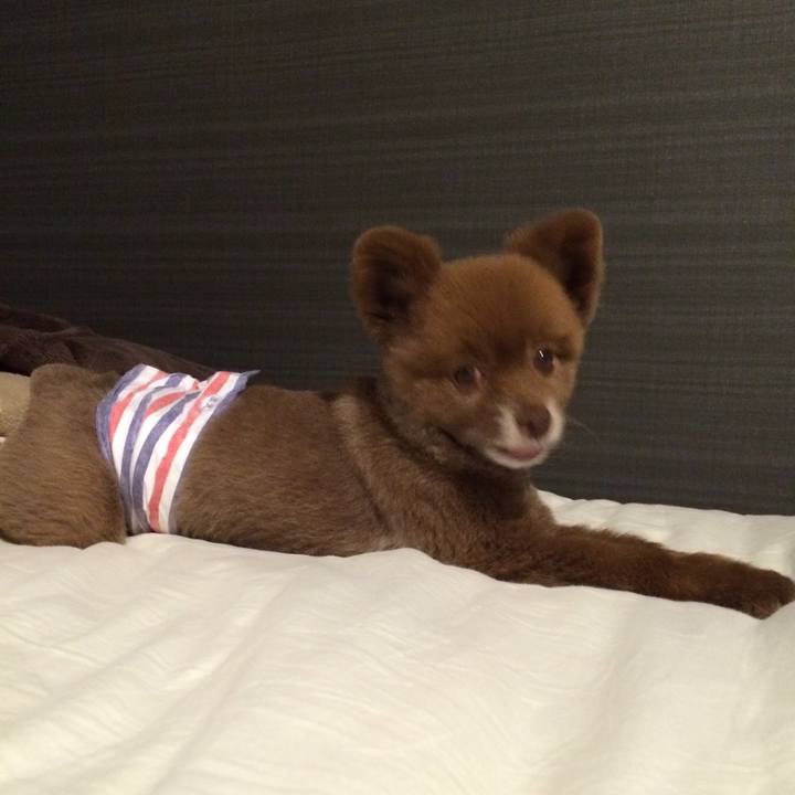 16fef658 08ae 4efe b12b 25fc66680722