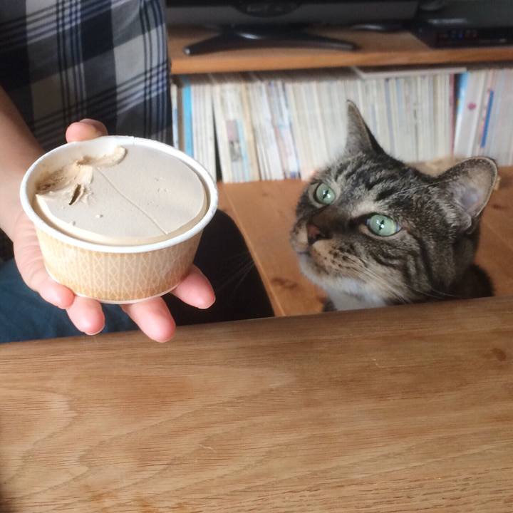 16ff4c2a 7f1c 4f0a aa98 0870b179c337