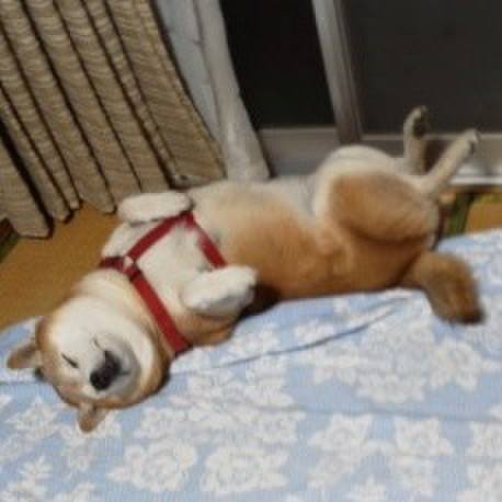 16ff67ef 6f1b 40bc baa7 504ac5f62998