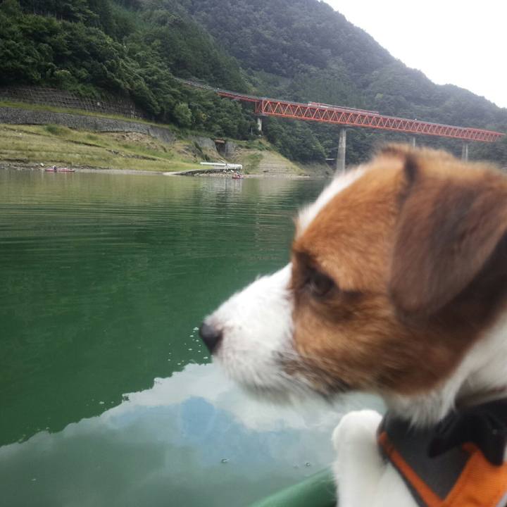 16ff7bef 9342 4dc1 bb46 1300f533dab5