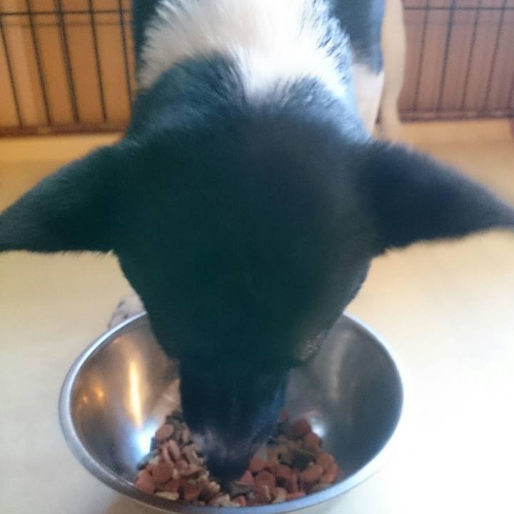 170002ad 4744 4e09 b7b0 c4fc653c30f1