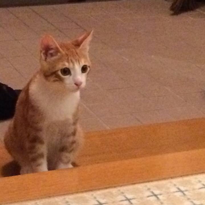 1700196b 32fd 470d b0f3 a58eb86b5966