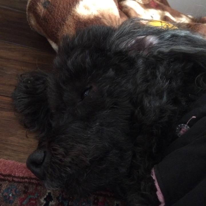 17004826 1e4e 4ba0 8916 36d3c6a0c6ba