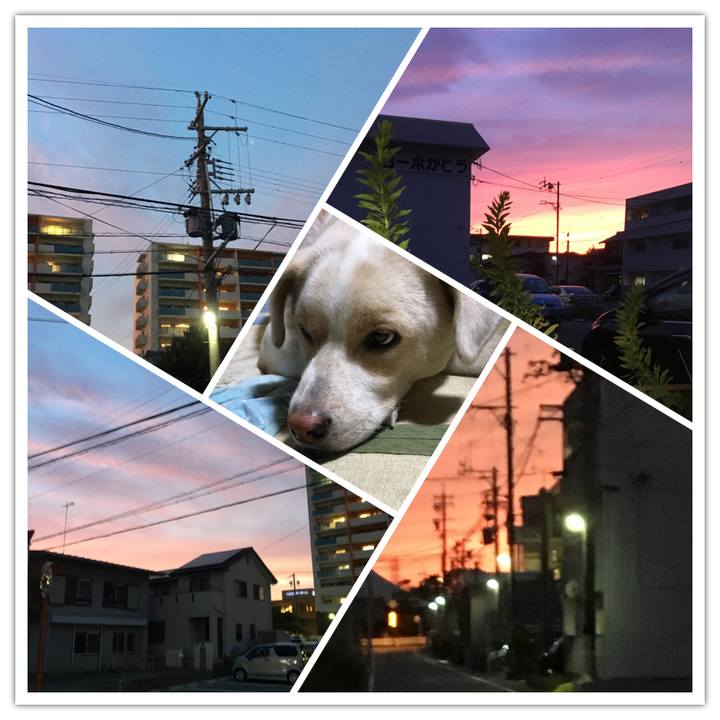 1700feae 20de 4345 8242 b6cef8ec892e