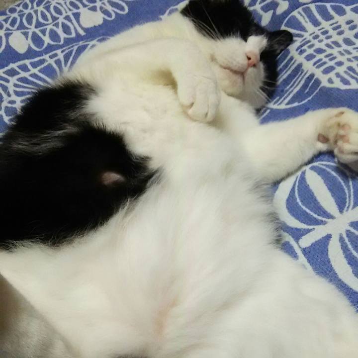 170185b5 05e8 439d a162 aabd2572935c