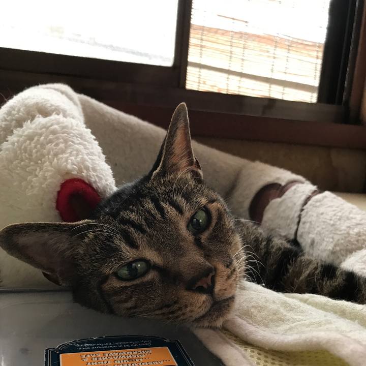 1701c938 4742 42b5 9743 9f83d595da78