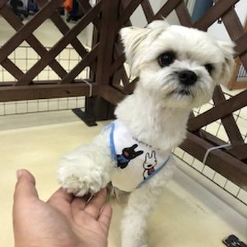 1702aee1 6efc 49c8 a94d 0914f3cda74d