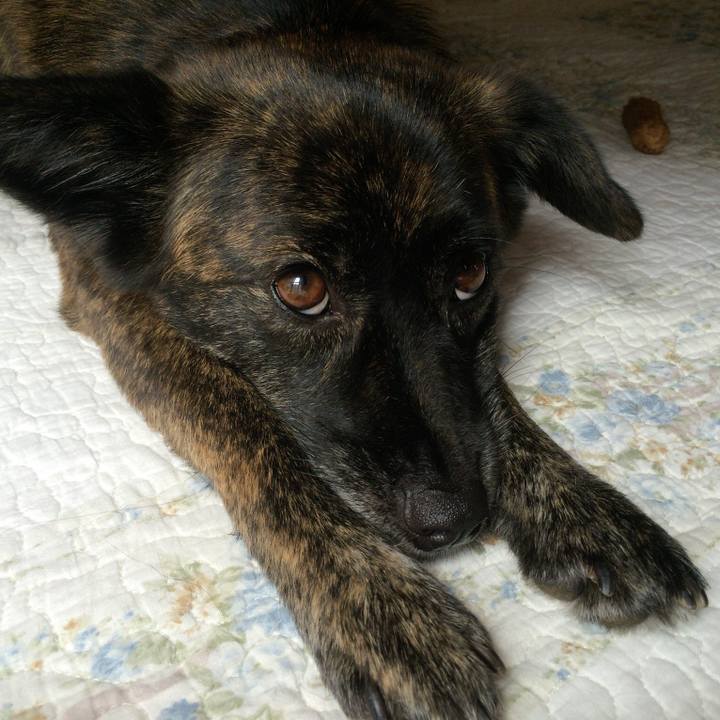 1702cb1a a1e0 4390 bac7 9e9b442b8da6