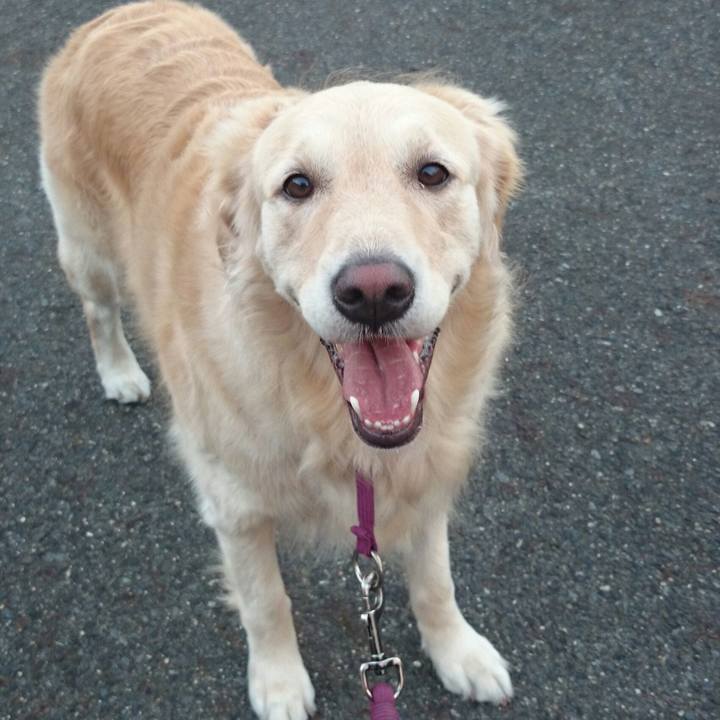 17033c2e 4fdc 4614 8b95 c16b03c13c10