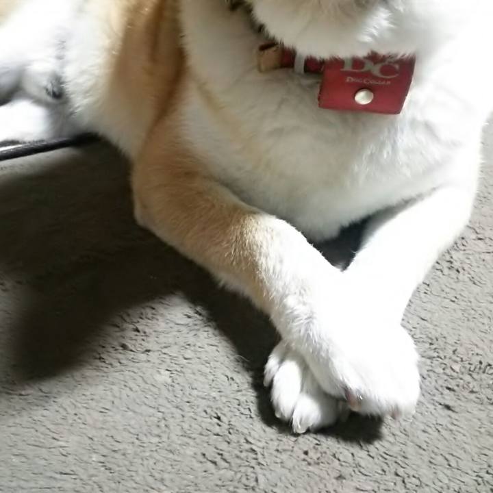 170373d6 2628 4f20 ae23 105c2d7cea9e