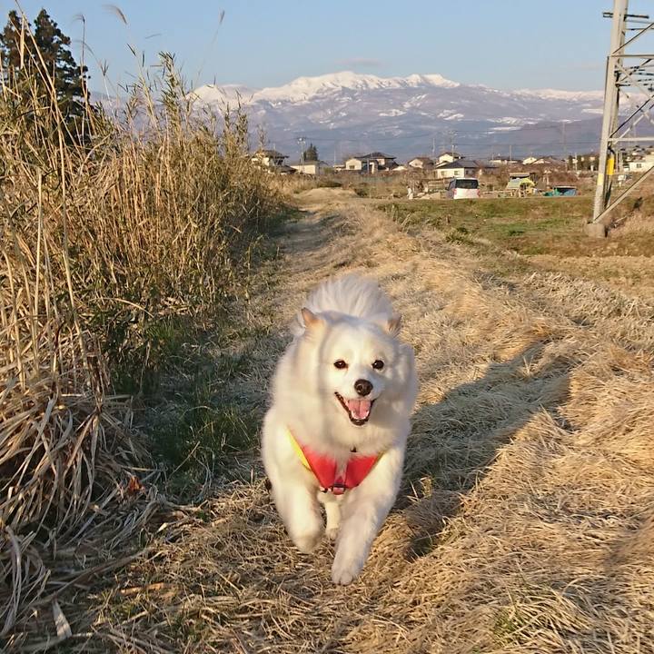 17040214 b731 4f17 b66a e8ee093f13cd