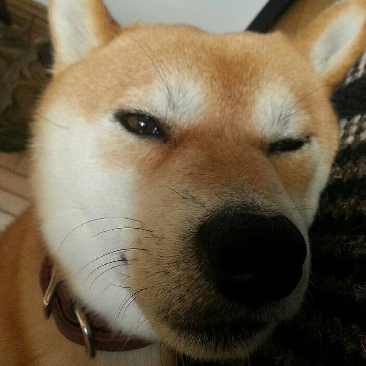 17040f4d 82a0 420f a4a2 070de319fe62