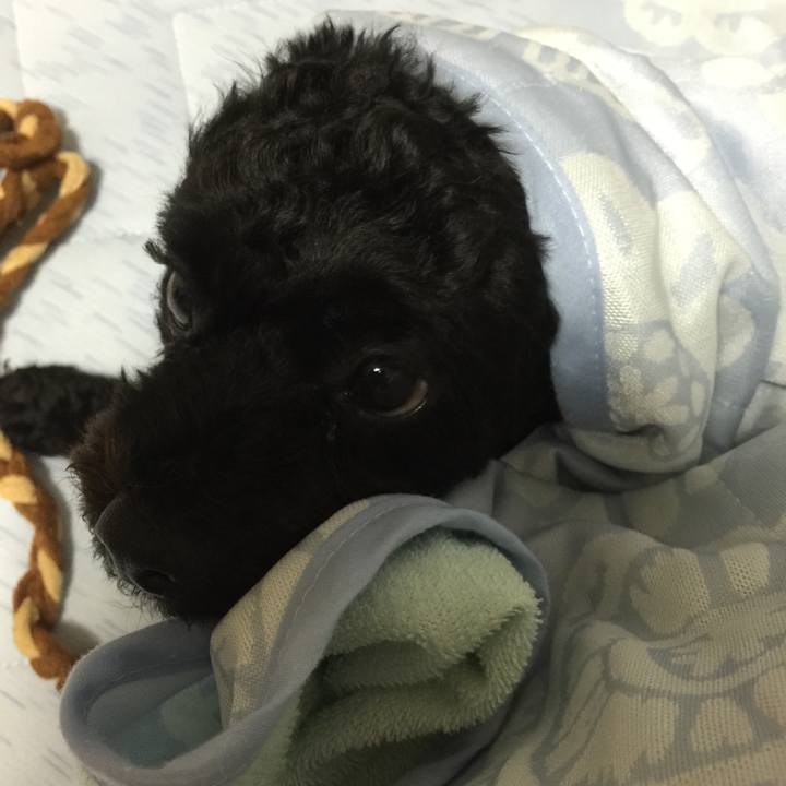 17042517 4e5c 492e 8a73 81672e2a32e9