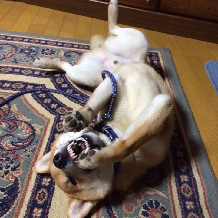 1704323a a8fa 42bd 8c72 c8c68121121e