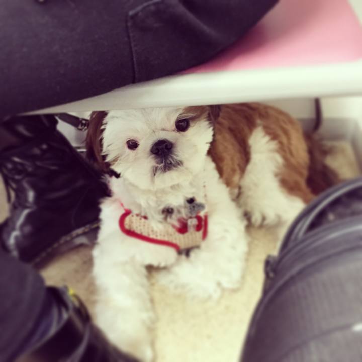 17043c9b 8698 4390 a6e4 4ddbcc69e96c