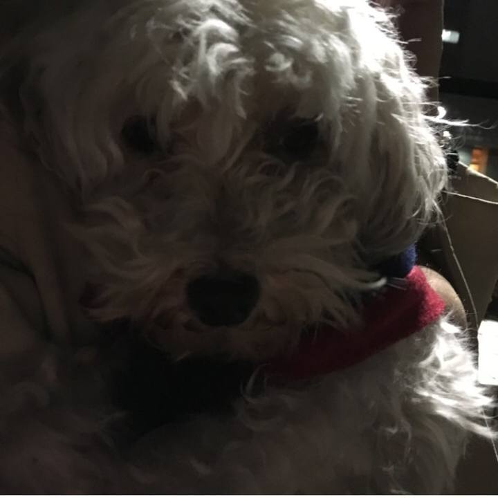 170454ff 4c74 4941 ab19 28845eeddfb0