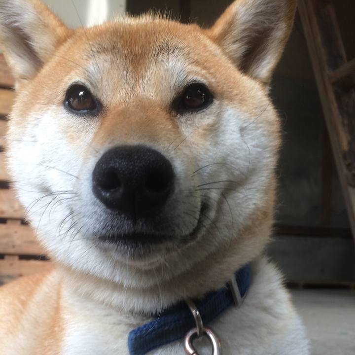 17045723 3a27 433c b8da 3b6a45657d3e