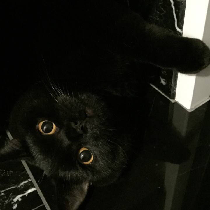 17047948 6cd9 4cbf a193 d7d9387d9312